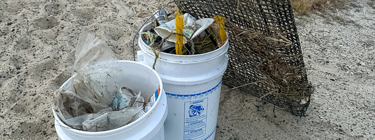 Coastal Cleanup at Morris Island Causeway in Chatham (12/16/2024)