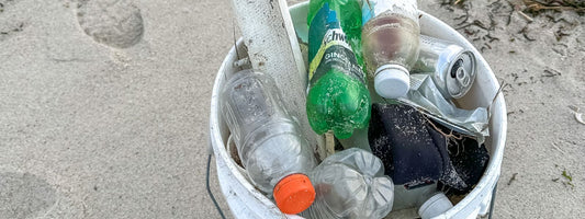Coastal Cleanup at Hardings Beach in Chatham (1/6/2024)
