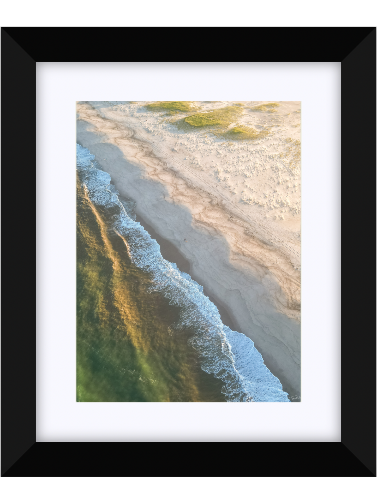 Nauset Walk