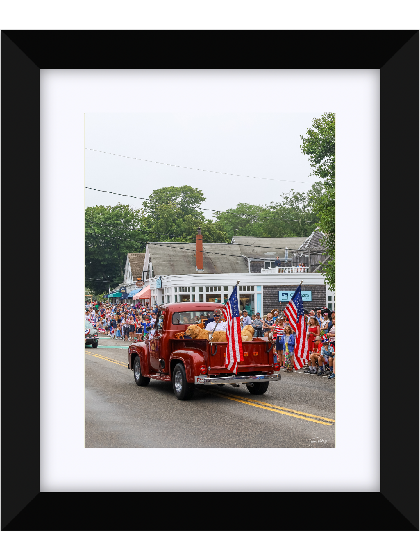 Goldens on the 4th
