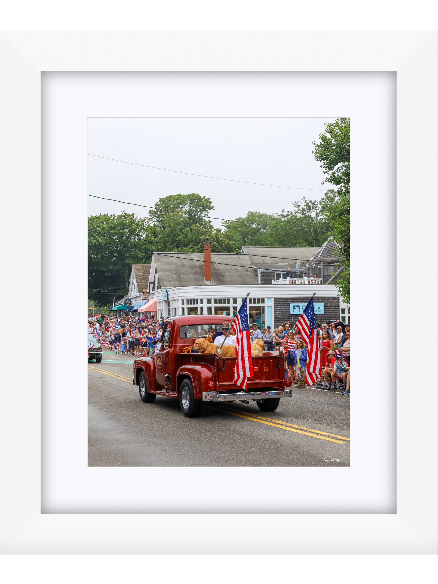 Goldens on the 4th
