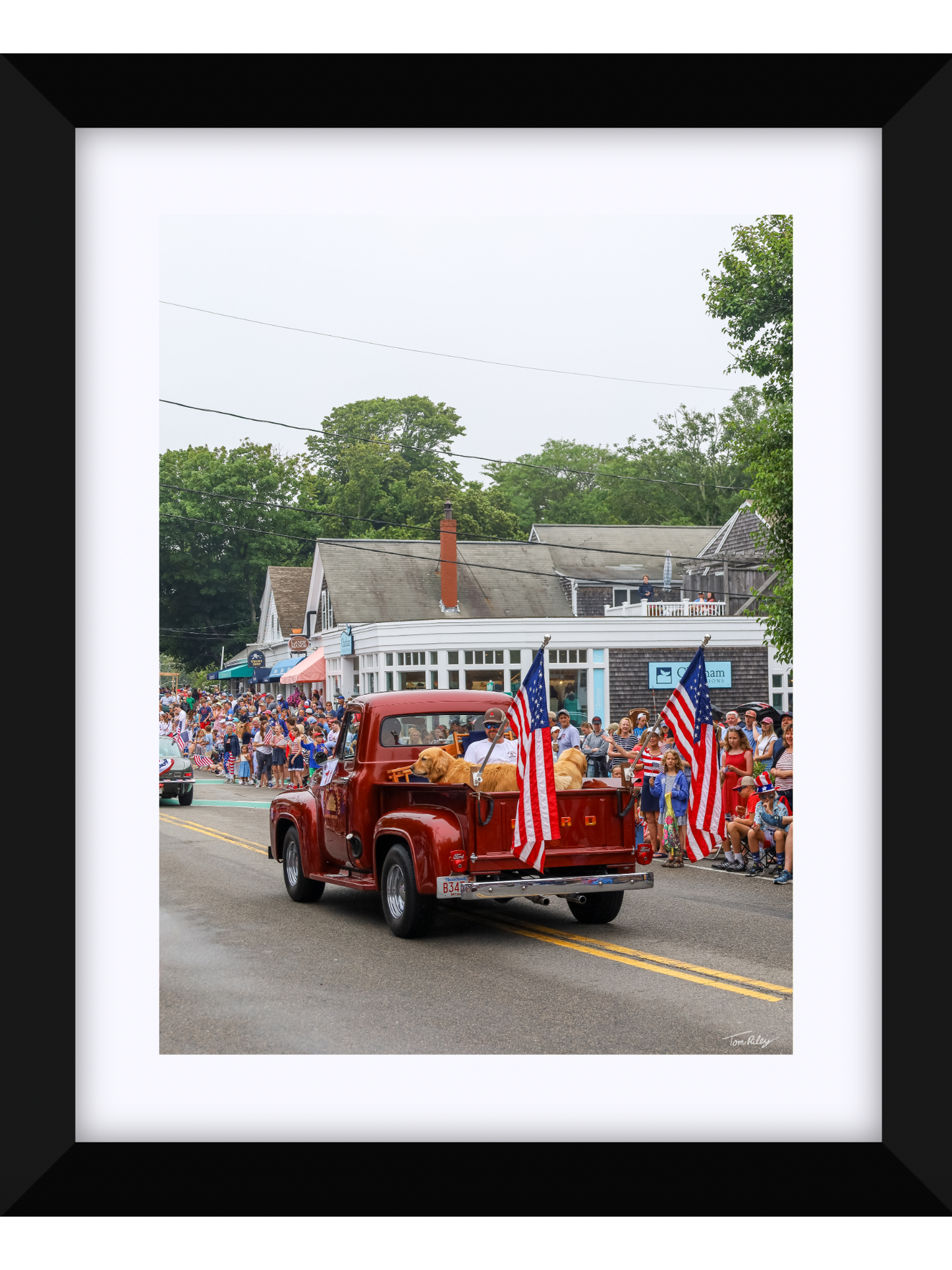 Goldens on the 4th