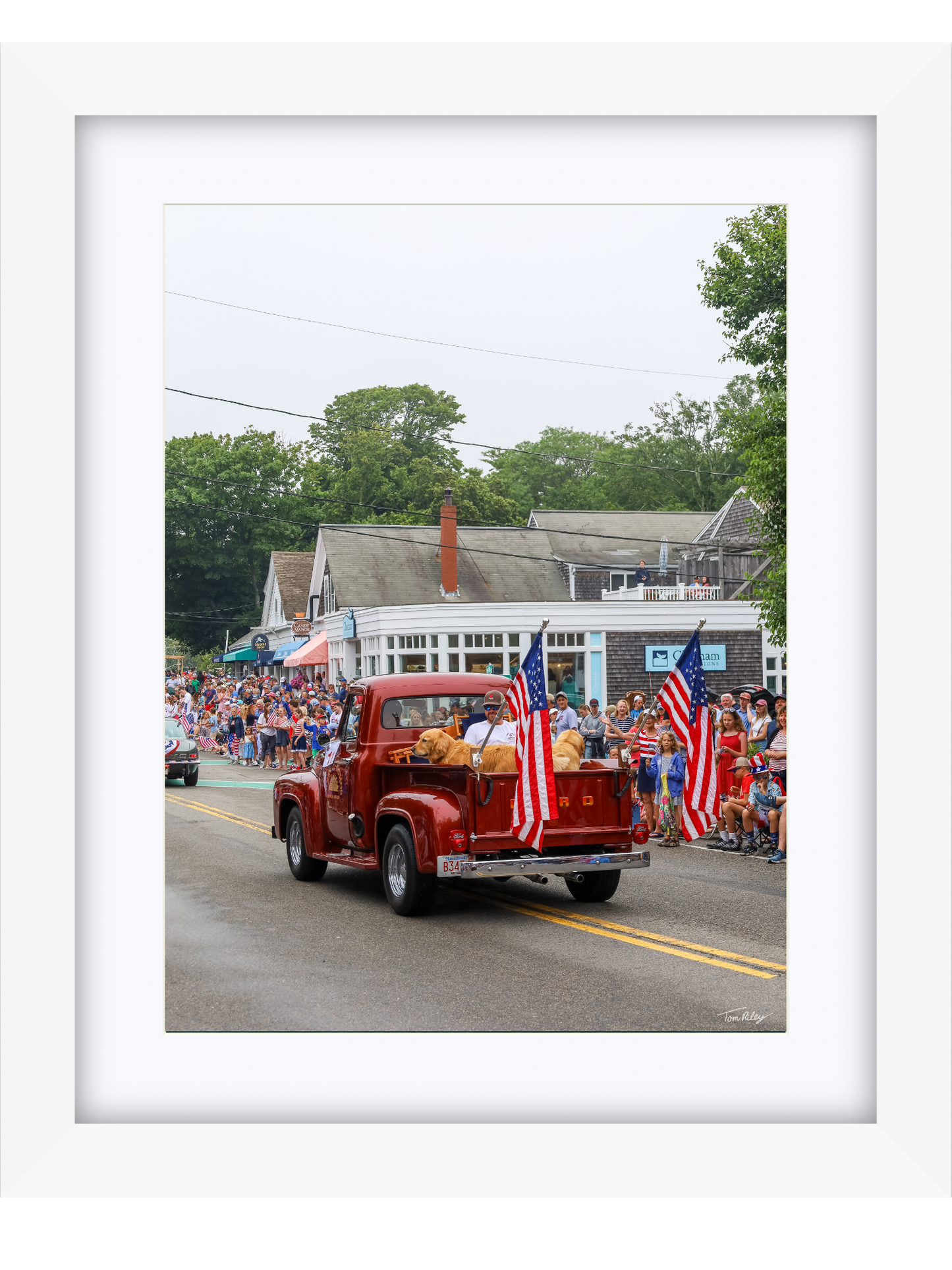 Goldens on the 4th