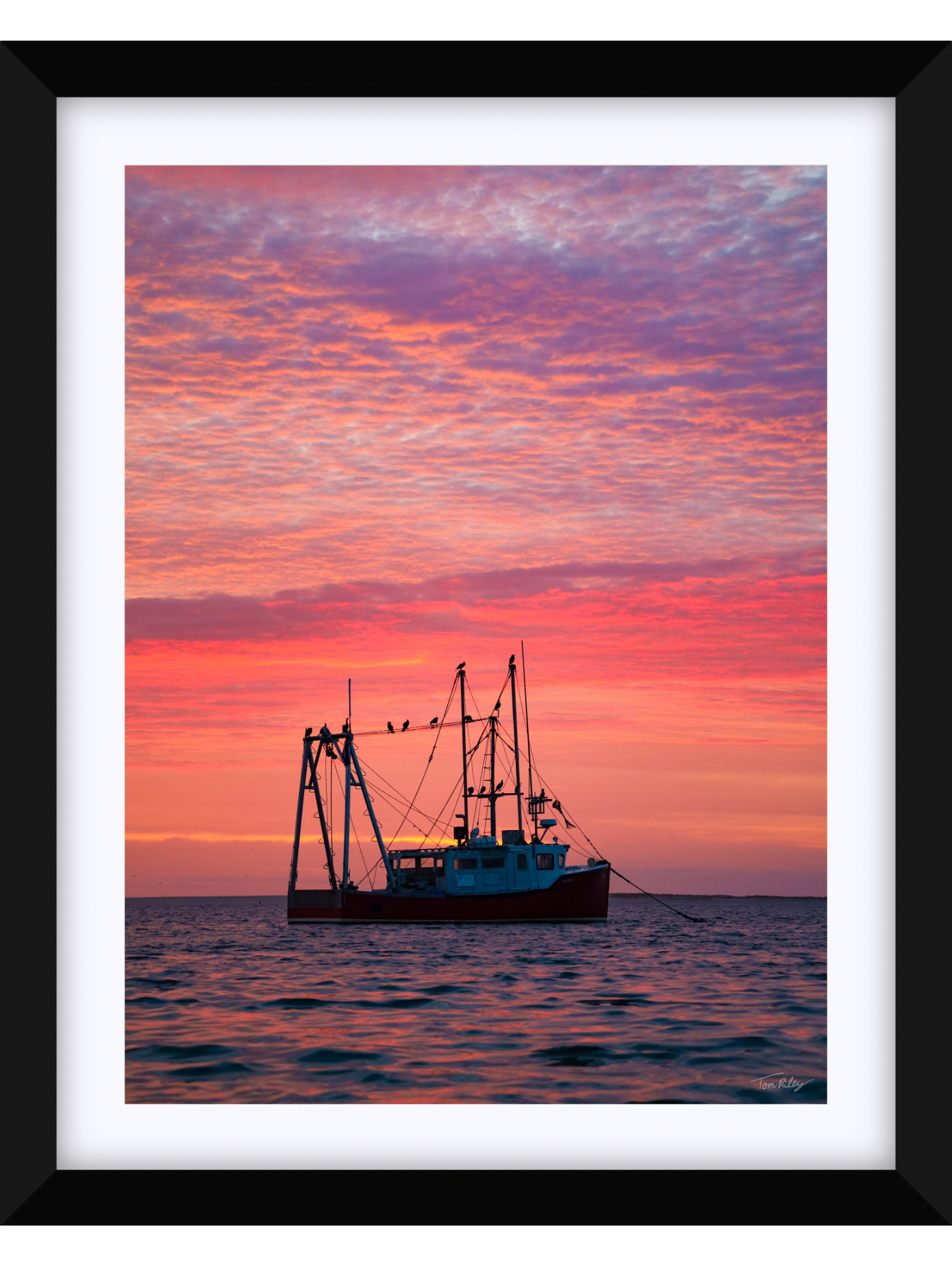 The Count at Sunrise