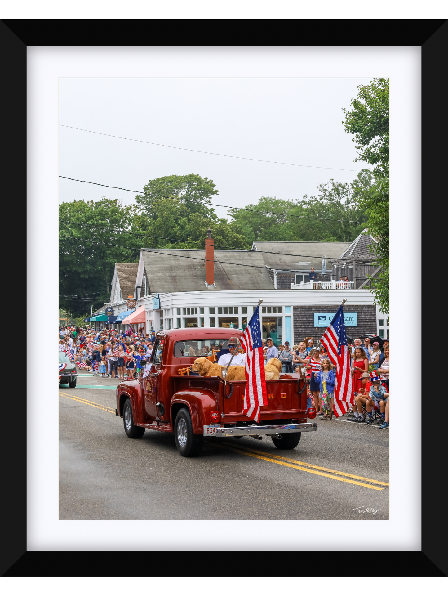 Goldens on the 4th