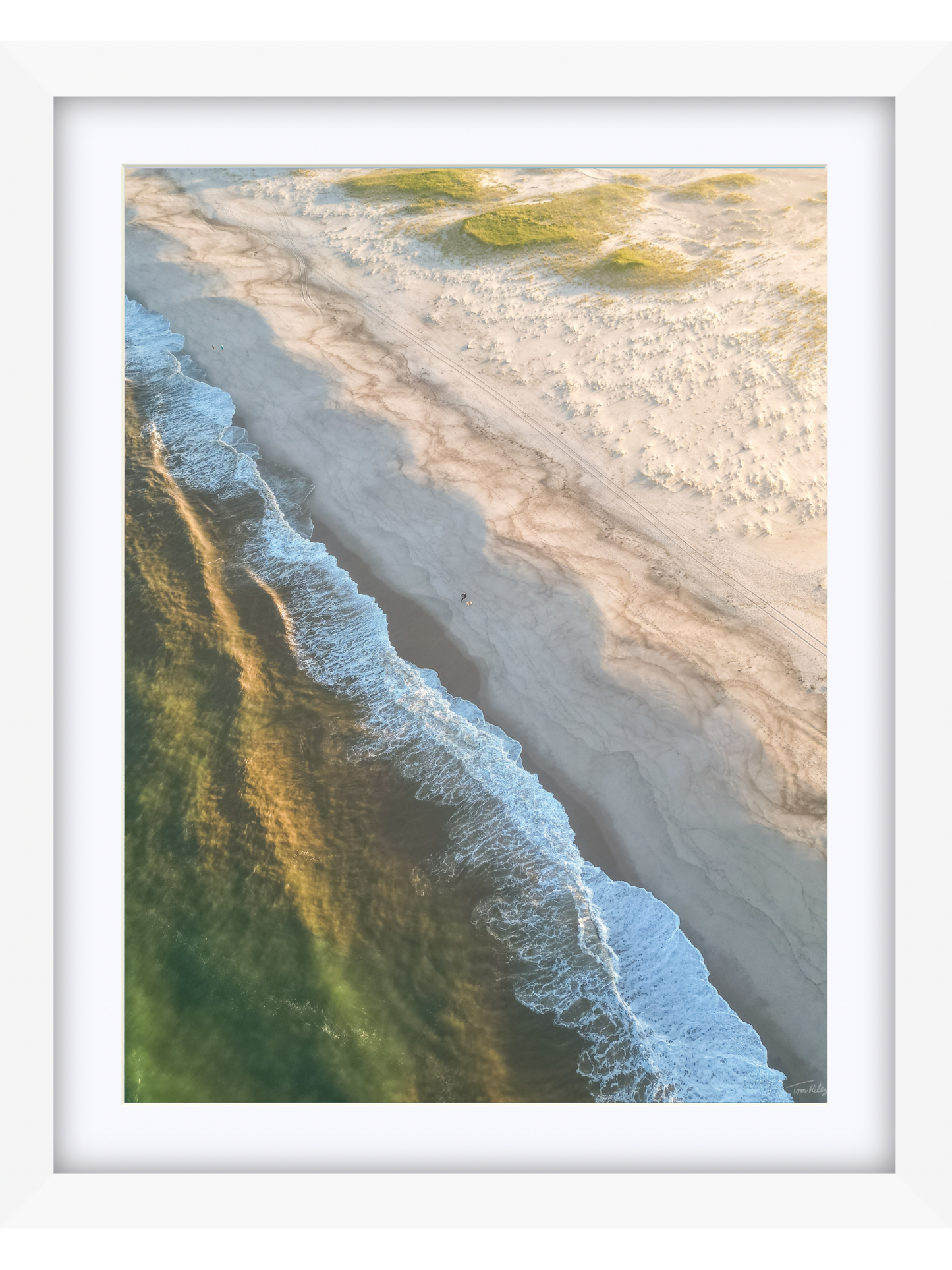 Nauset Walk
