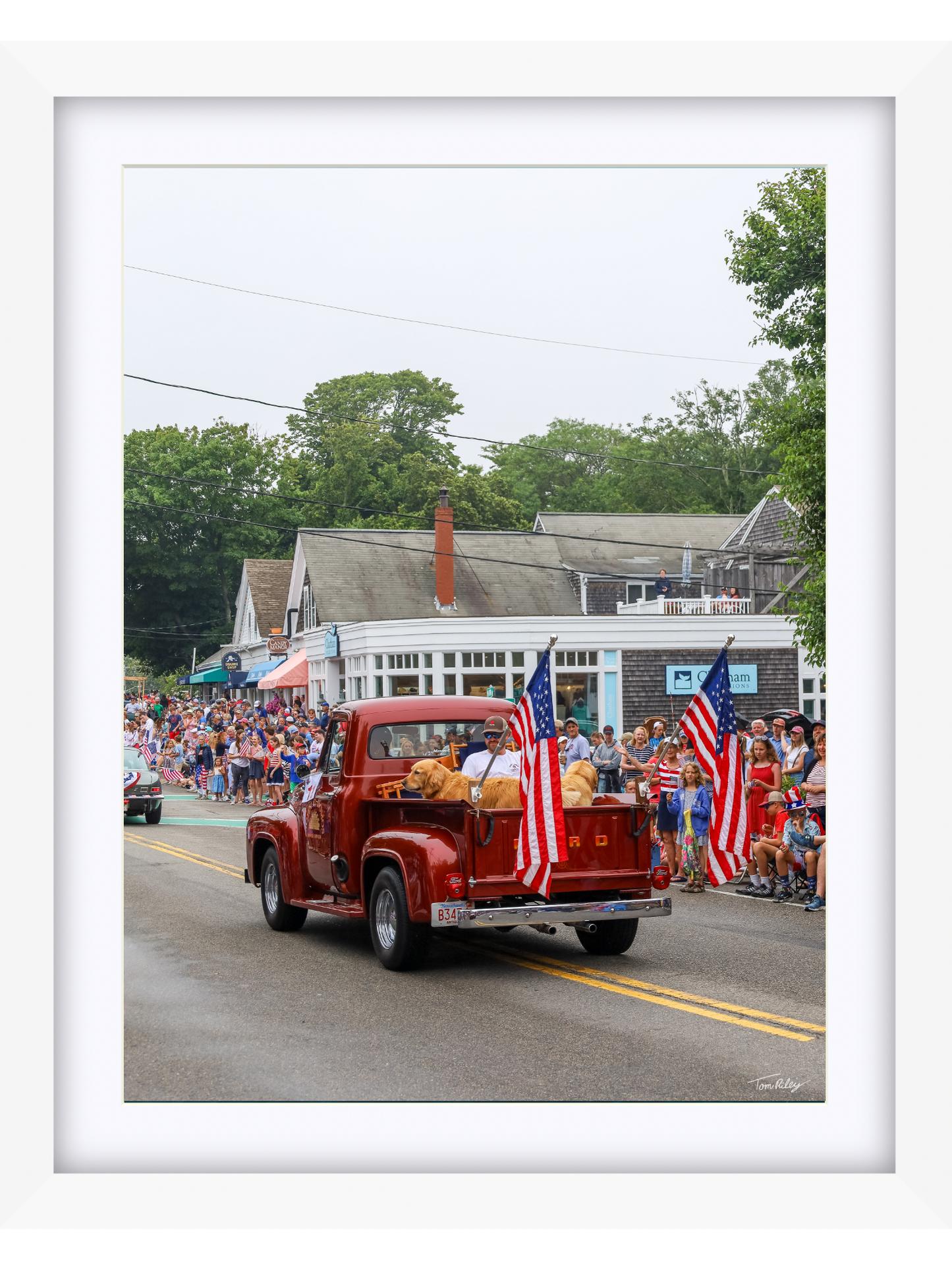 Goldens on the 4th
