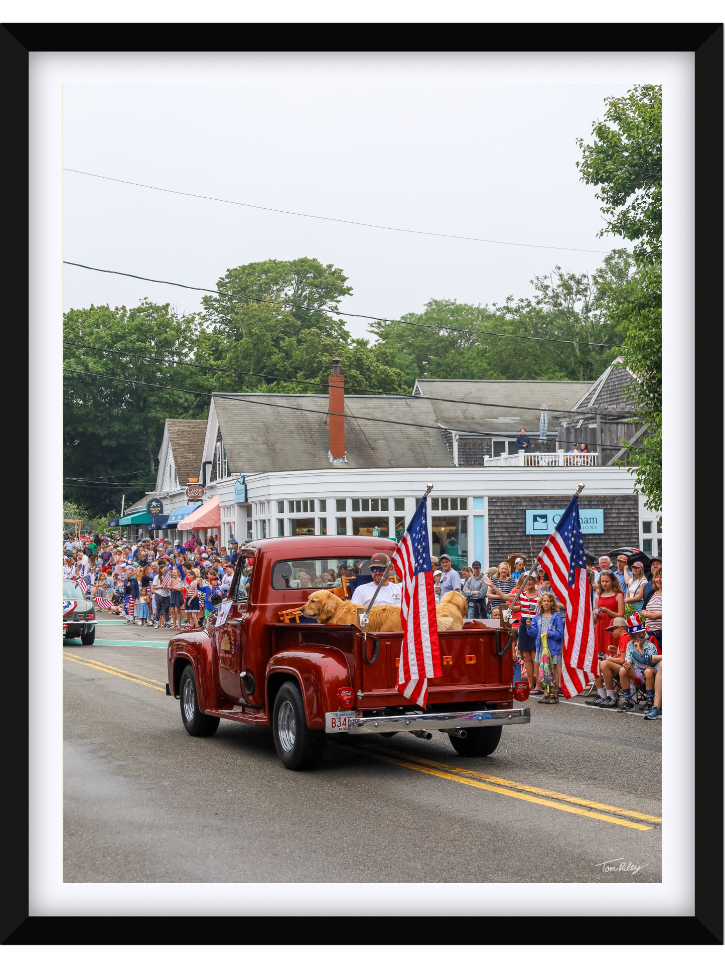 Goldens on the 4th