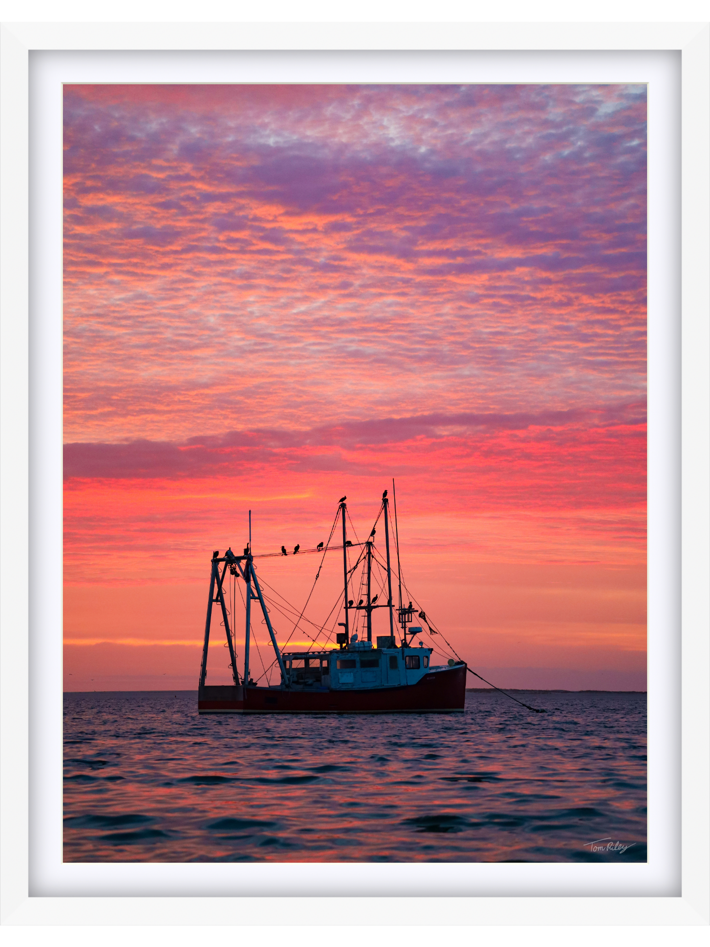 The Count at Sunrise