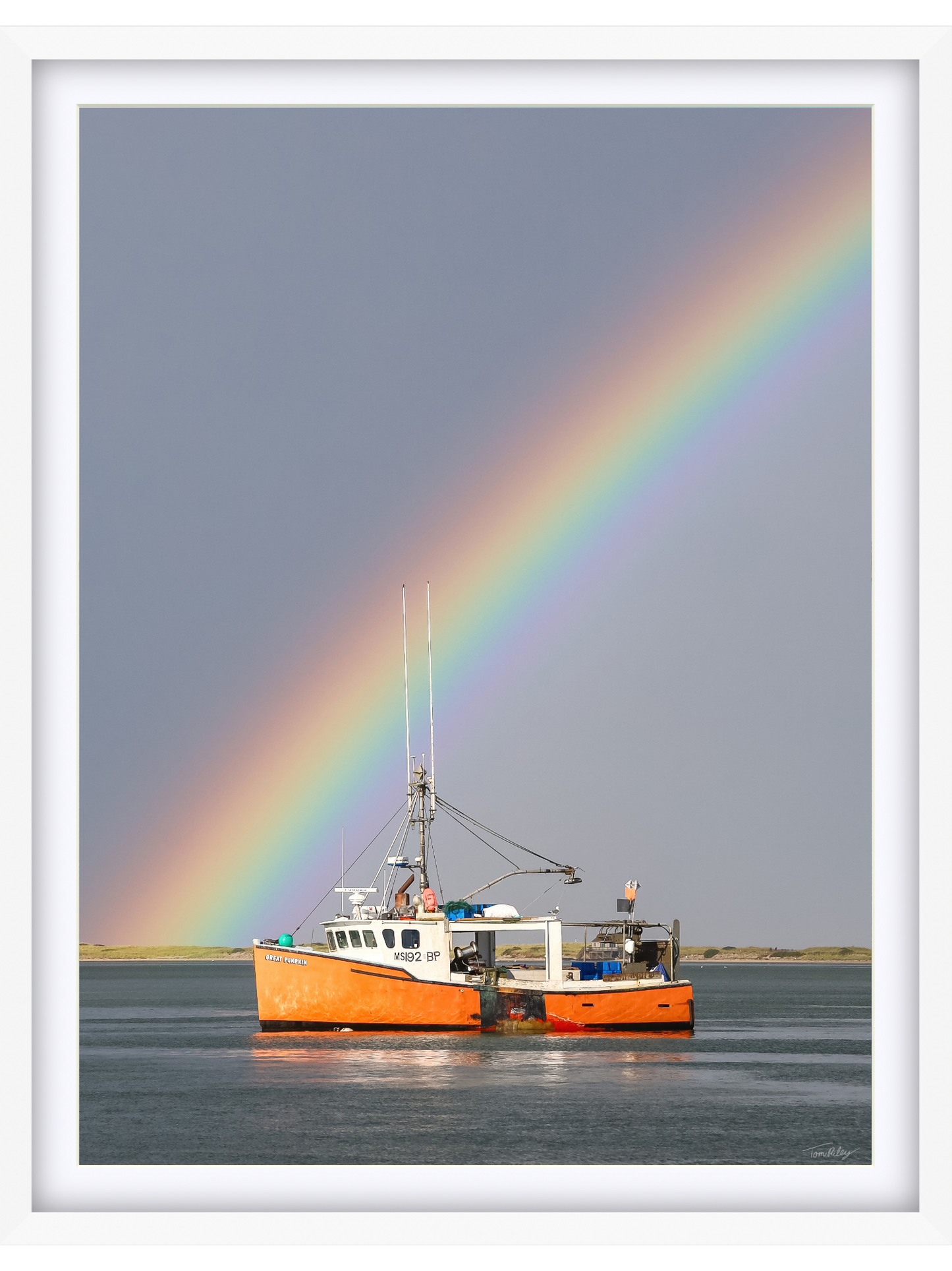 Great Pumpkin Rainbow 2025