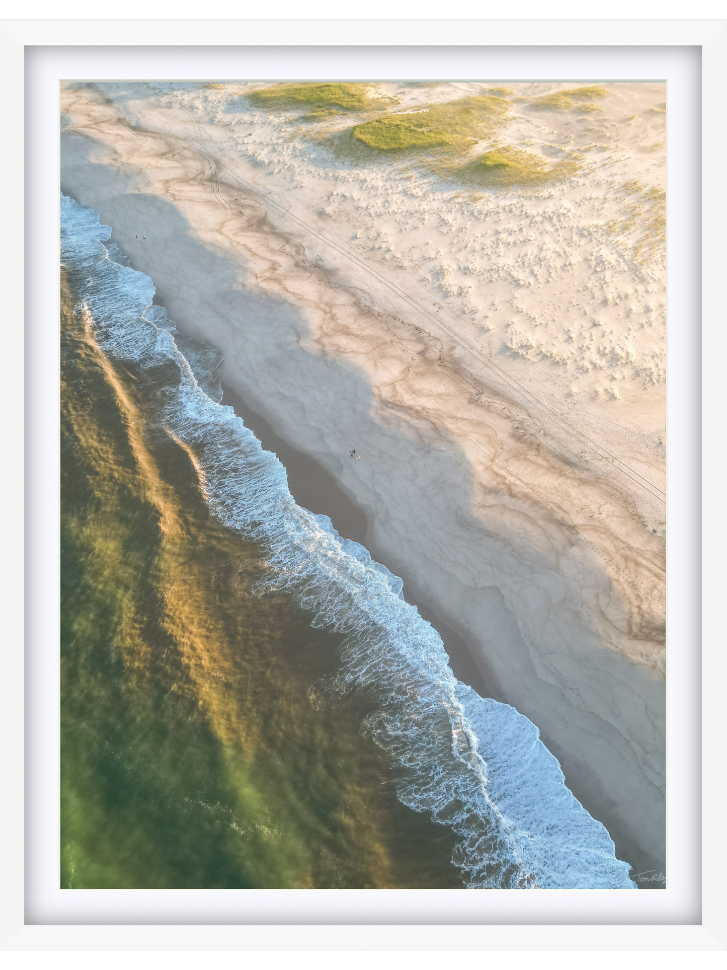 Nauset Walk