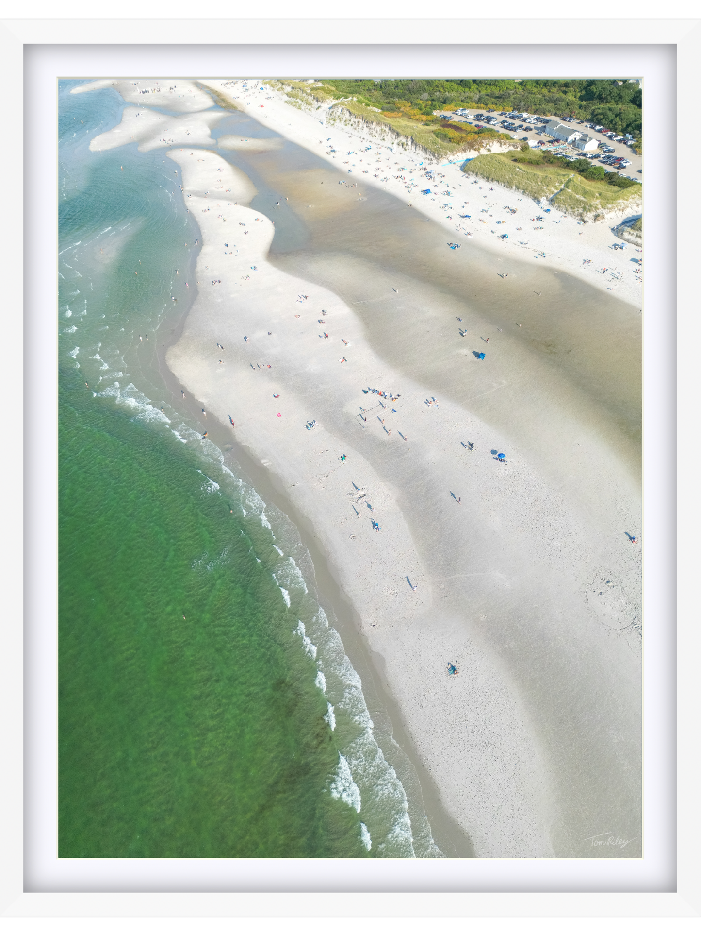 Low Tide at Mayflower