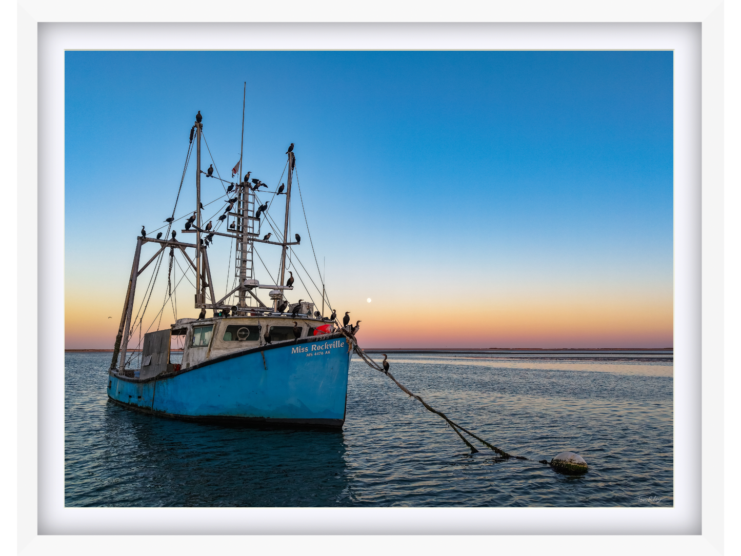 Miss Rockville Moonrise