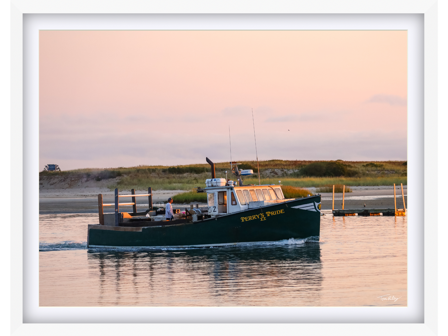 Perry's Pride at Dawn