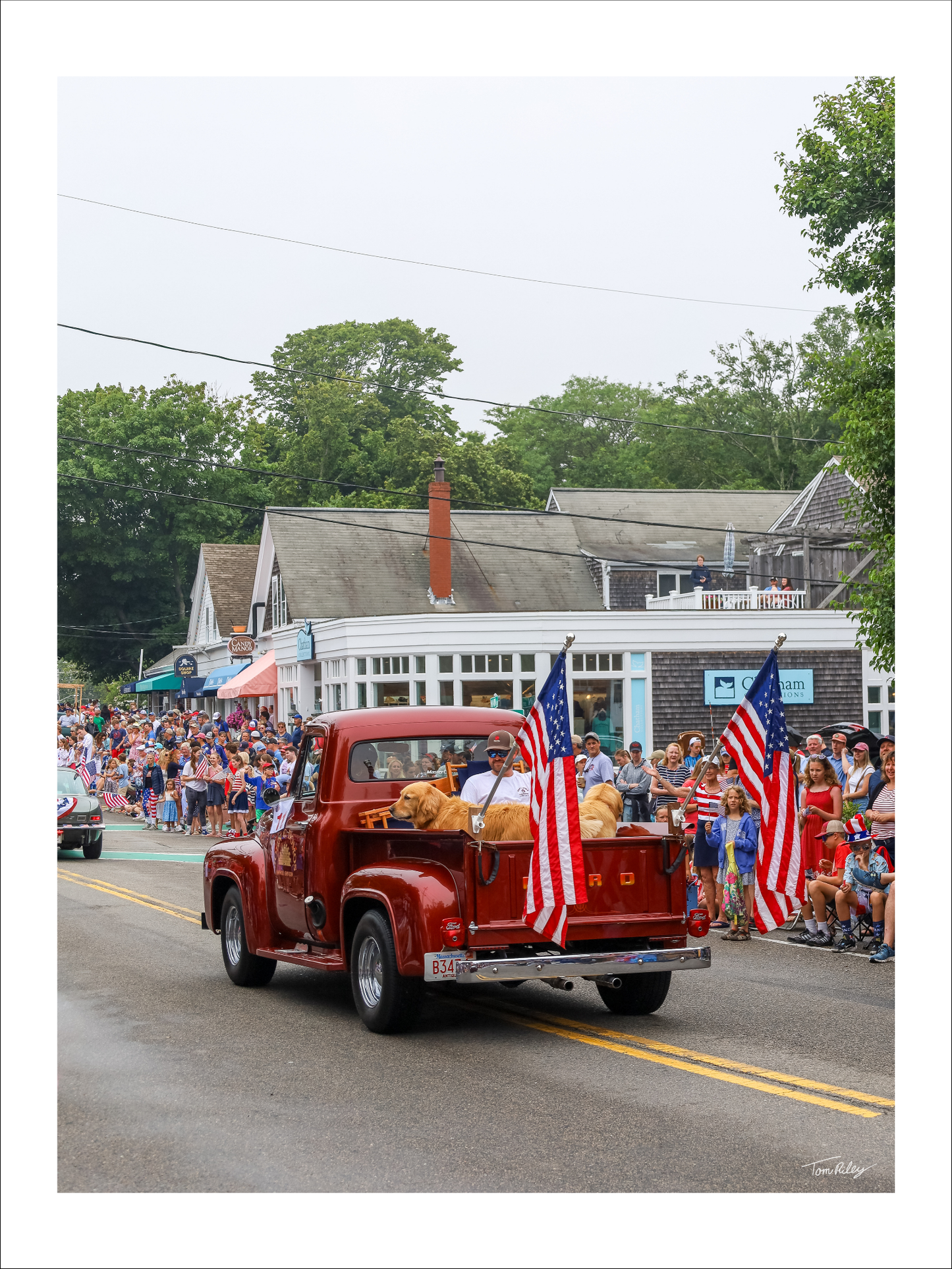 Goldens on the 4th