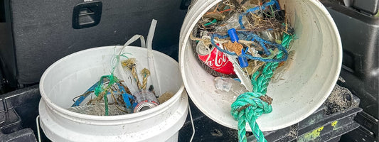 Coastal Cleanup at Lighthouse Beach in Chatham (10/2/2024)