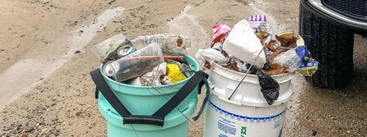 Coastal Cleanup at Jackknife Cove in Chatham (12/3/2022)