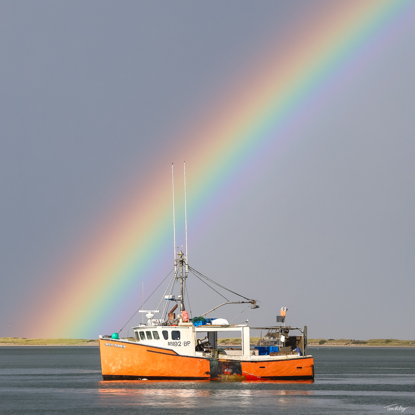 Pumpkin Rainbow II