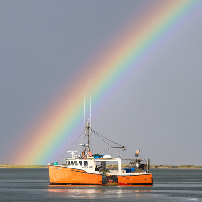 Pumpkin Rainbow II