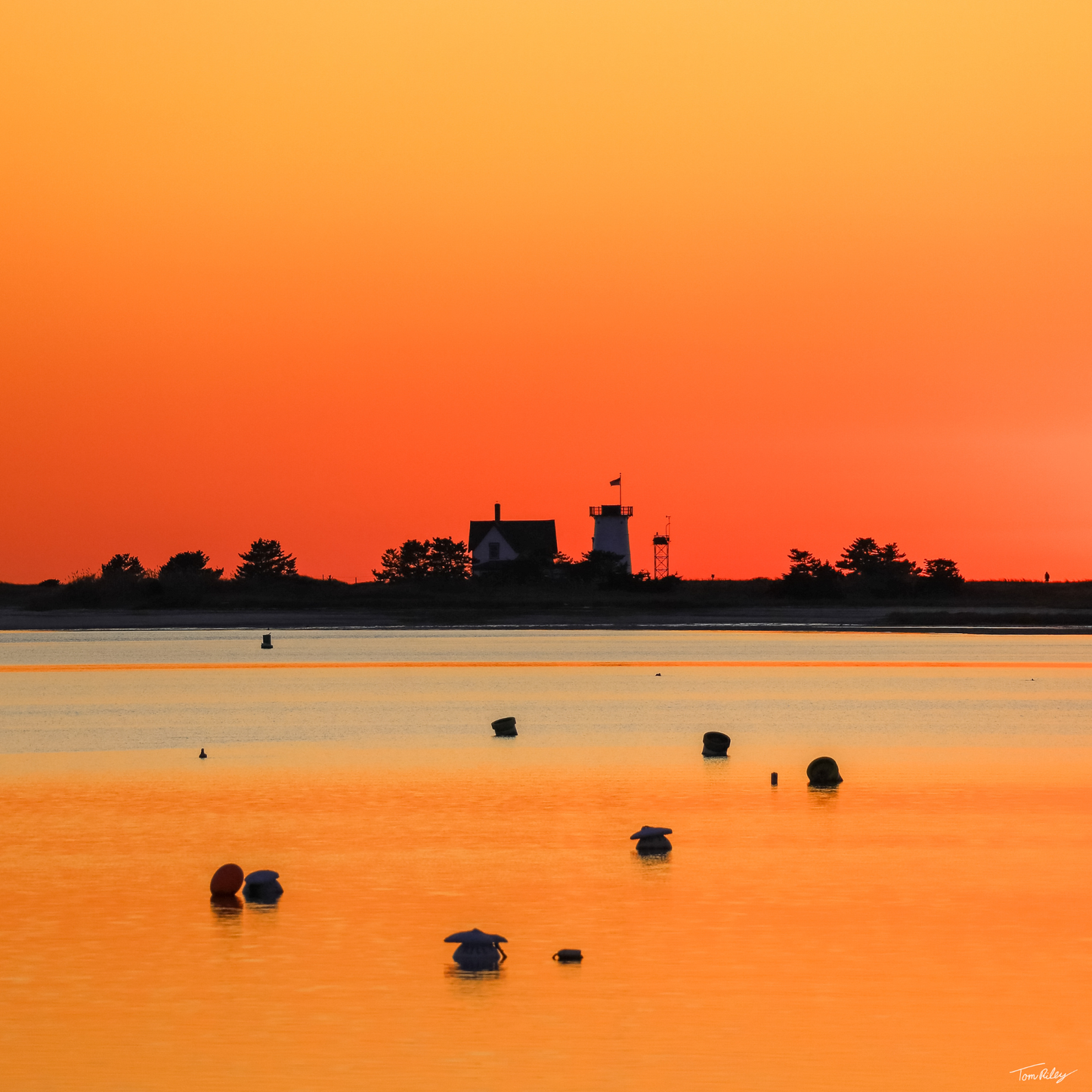 Stage Harbor Silhouettes