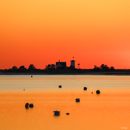 Stage Harbor Silhouettes