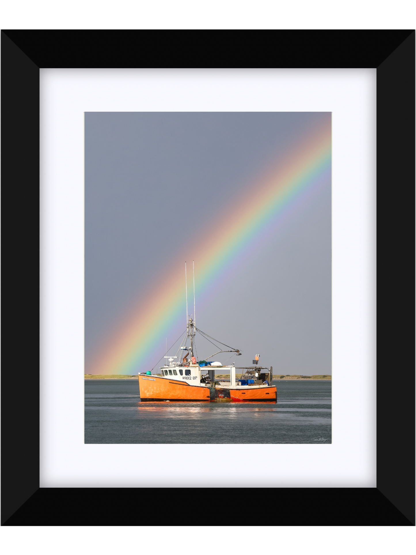 Great Pumpkin Rainbow 2025