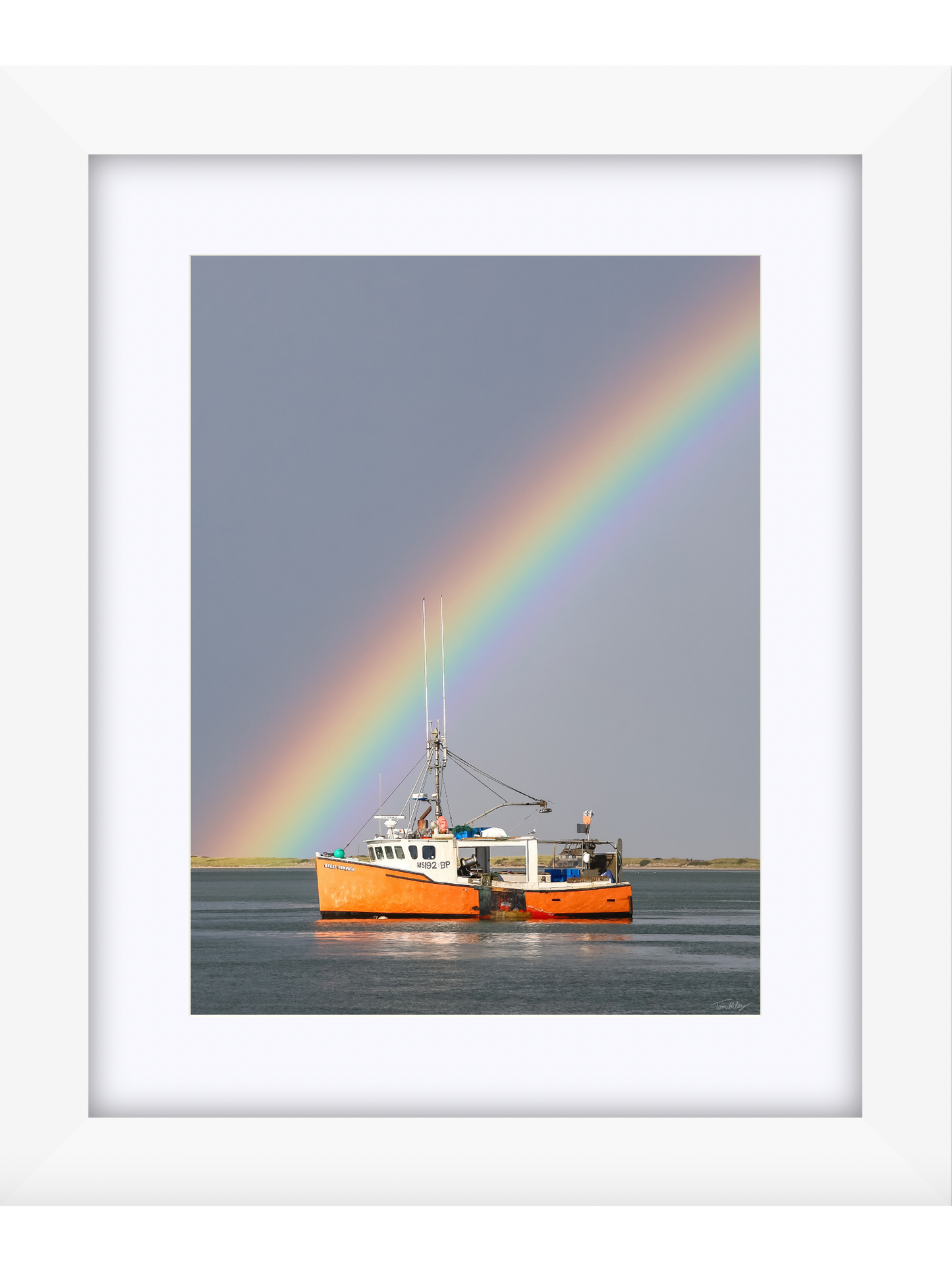 Great Pumpkin Rainbow 2025