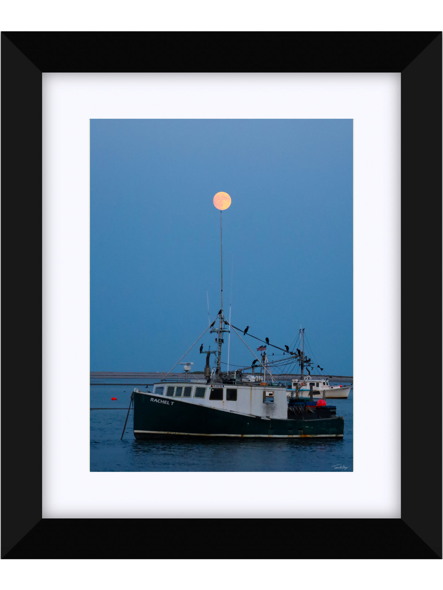 Full Harvest Moon Over Rachel T