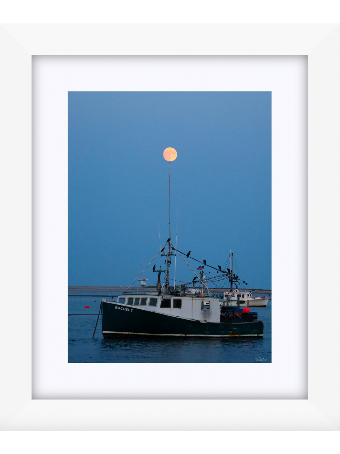 Full Harvest Moon Over Rachel T