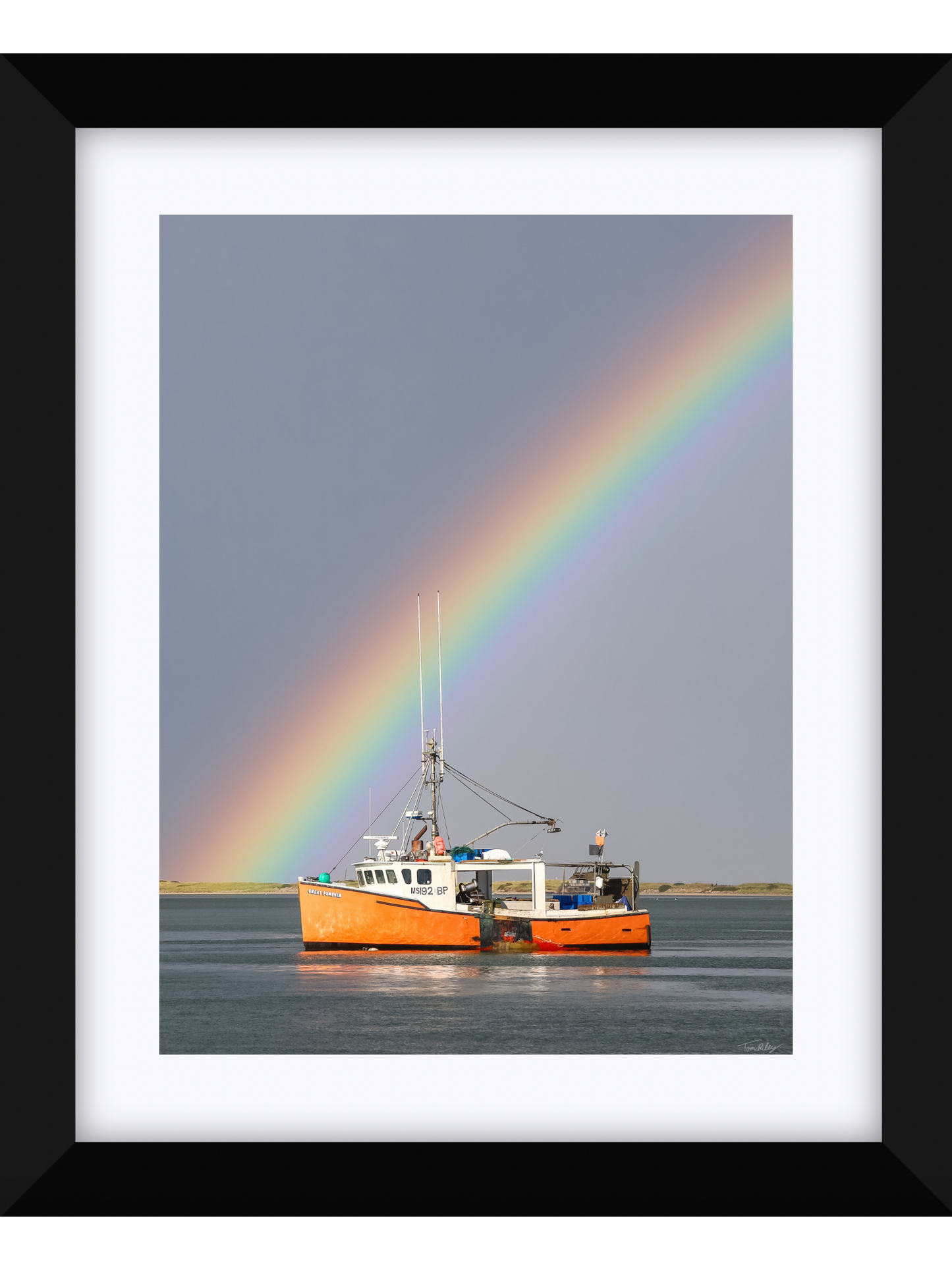 Great Pumpkin Rainbow 2025