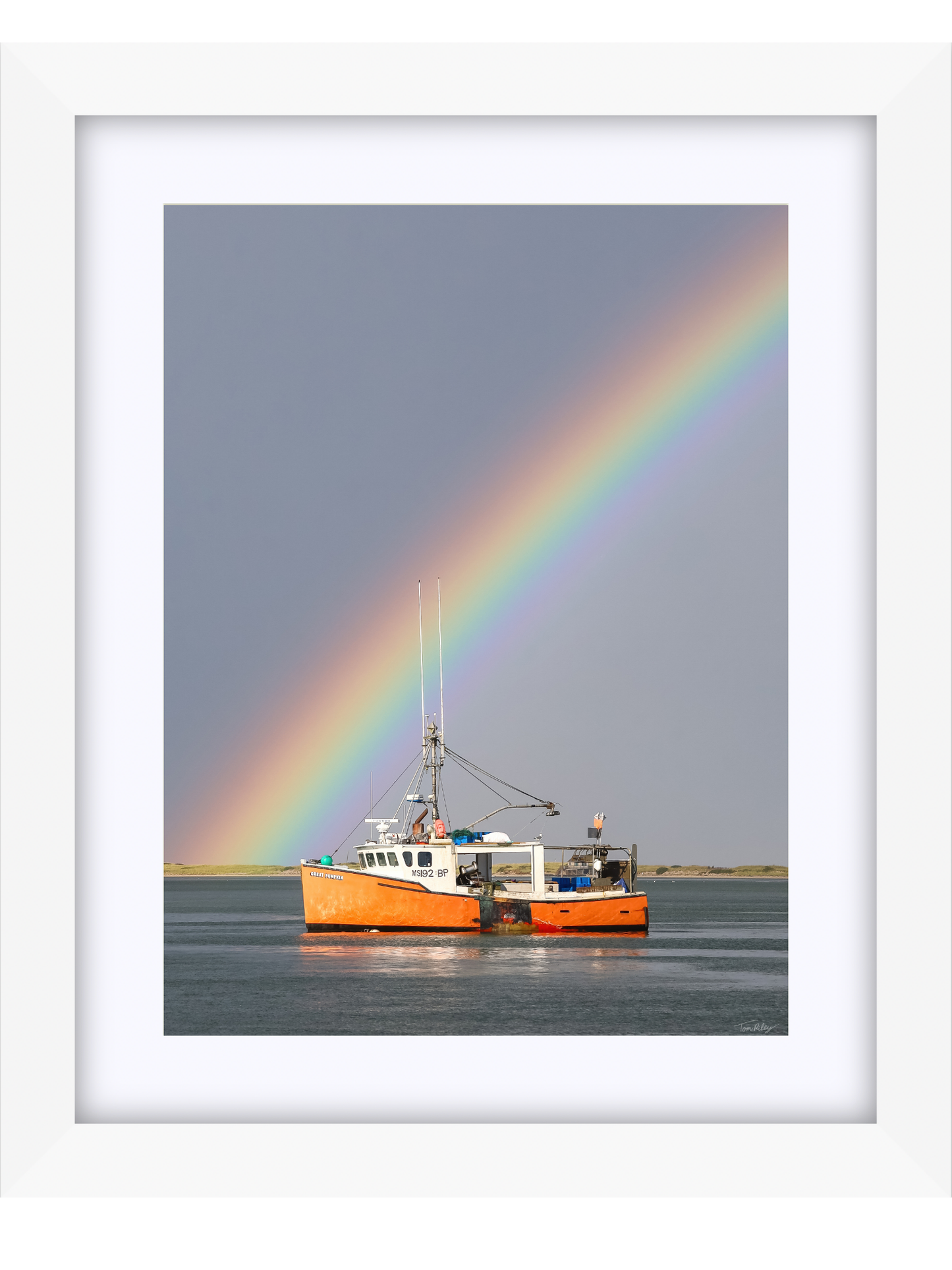 Great Pumpkin Rainbow 2025