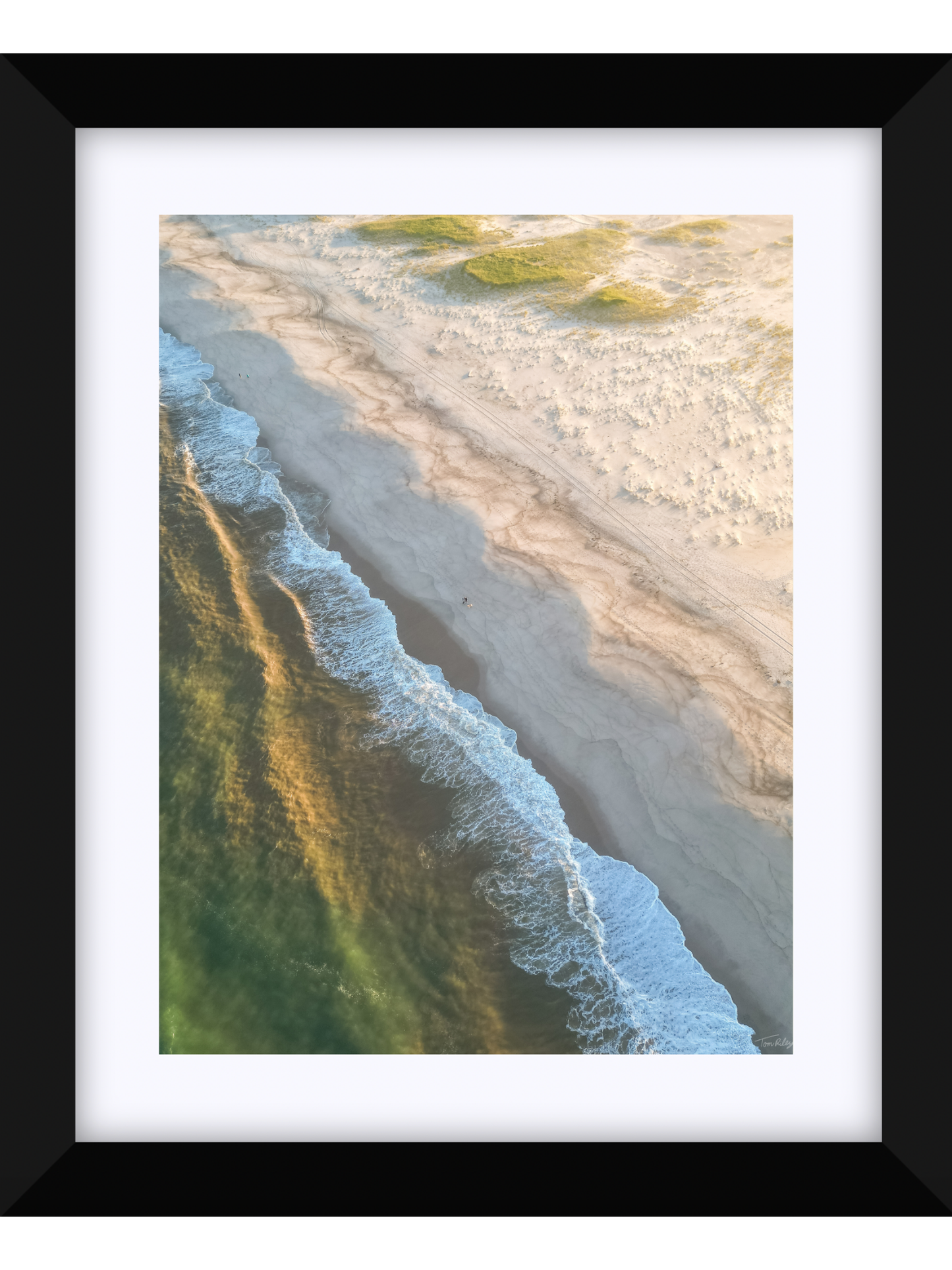 Nauset Walk