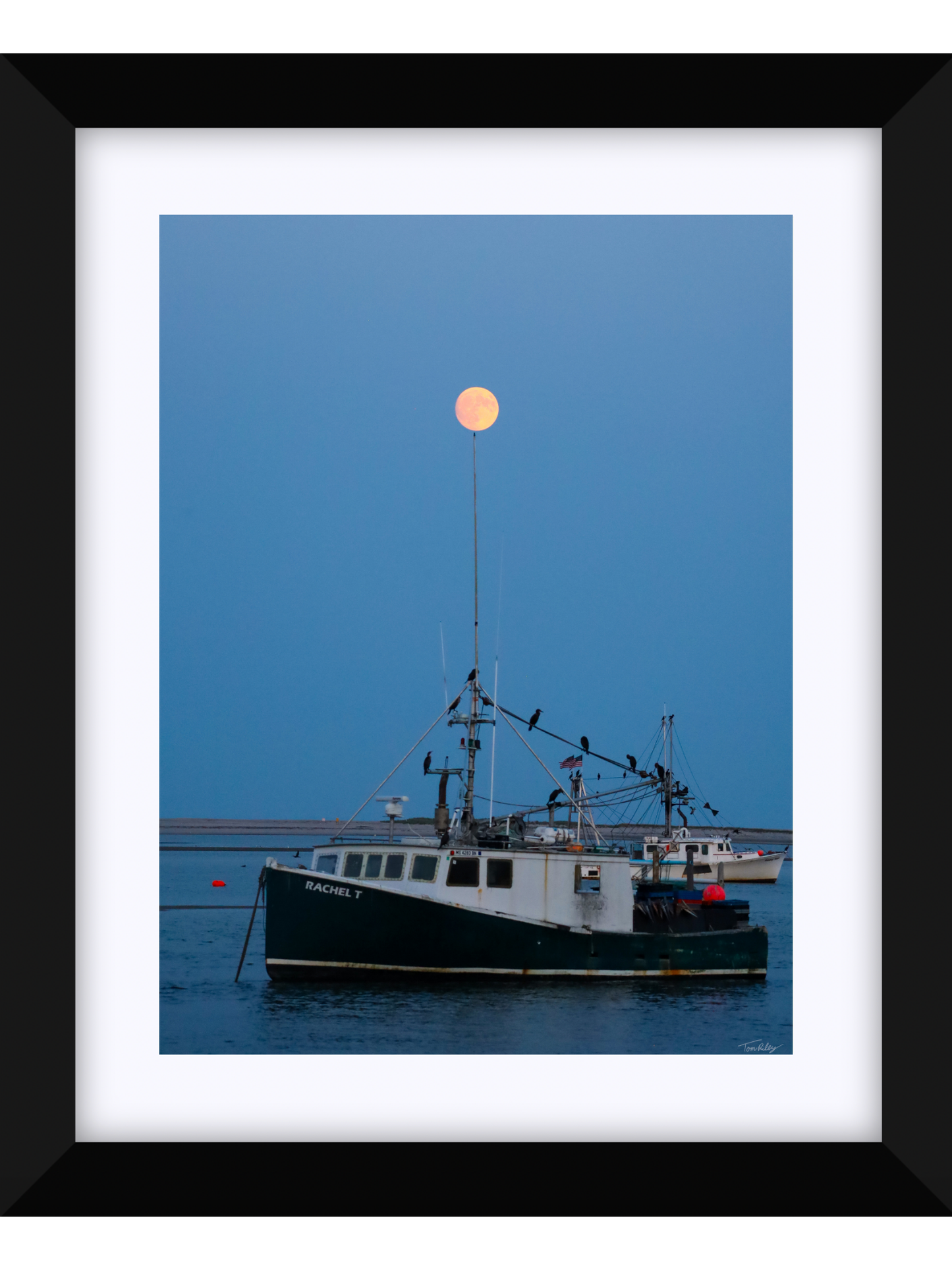 Full Harvest Moon Over Rachel T