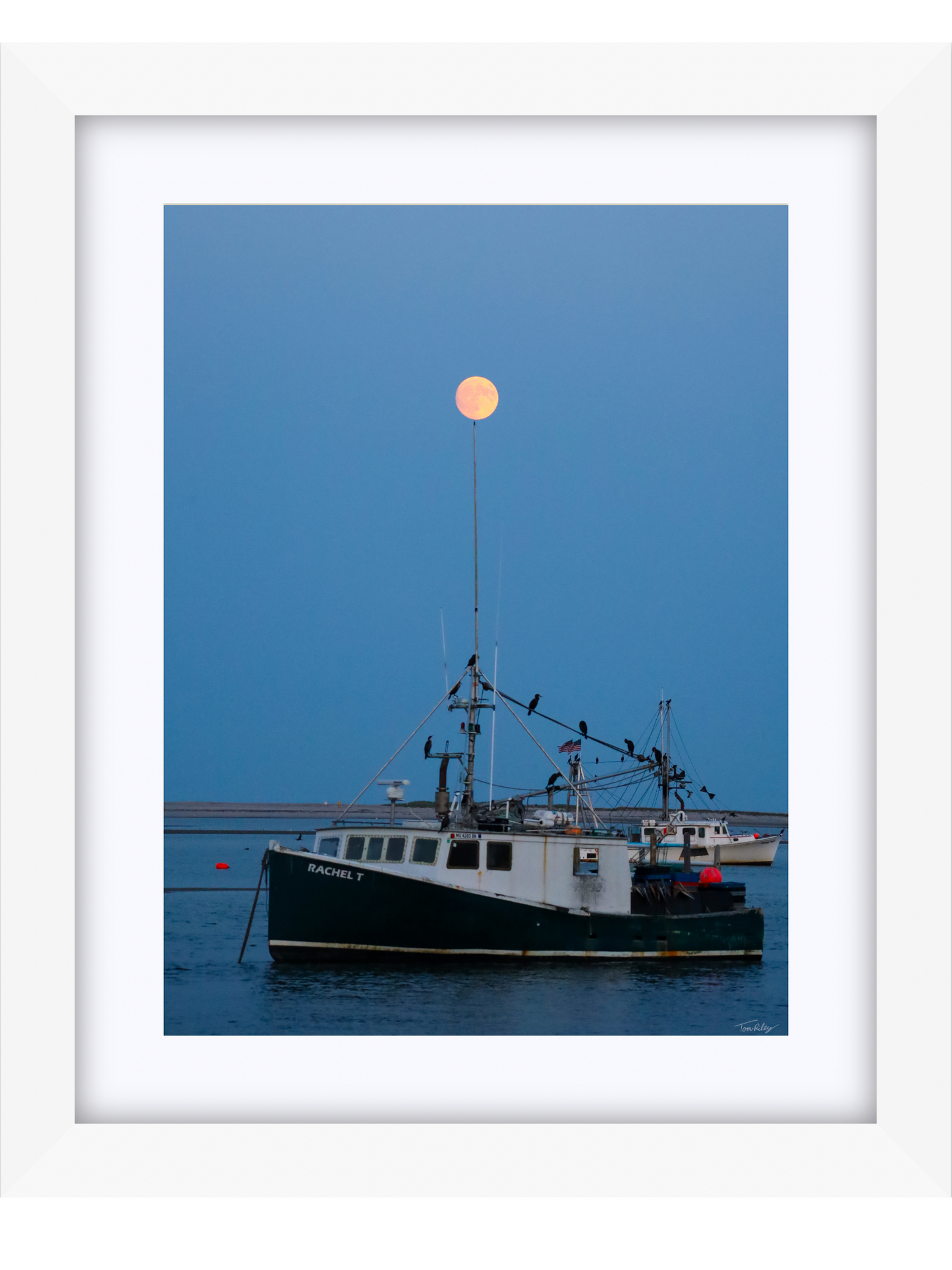 Full Harvest Moon Over Rachel T