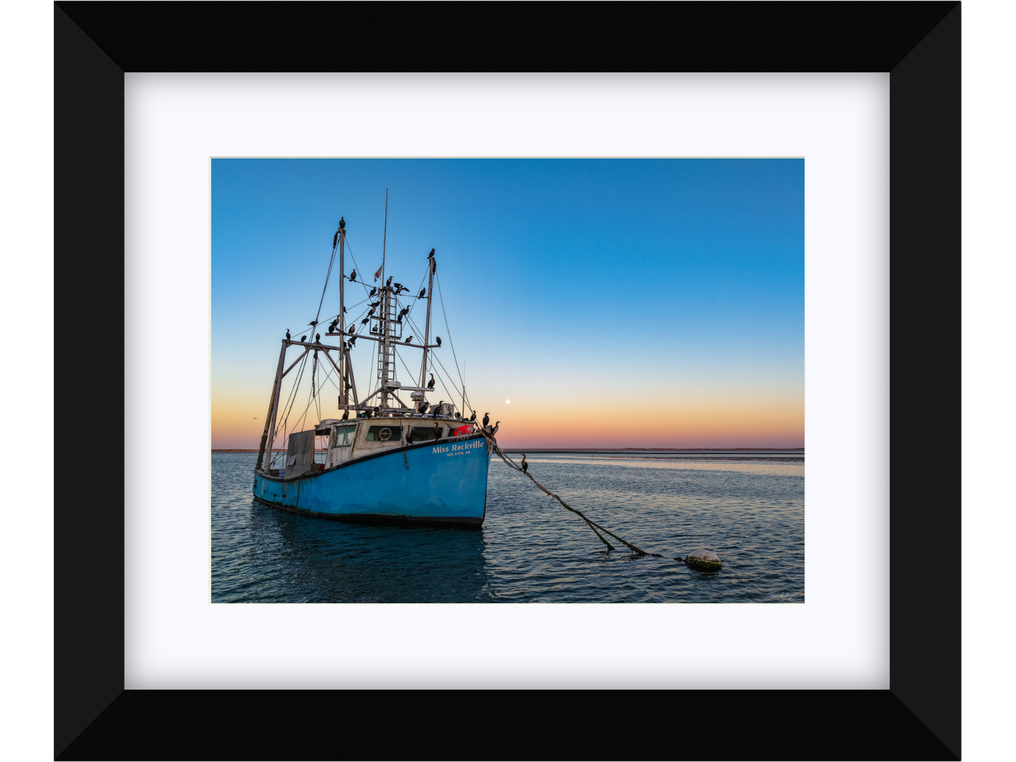 Miss Rockville Moonrise