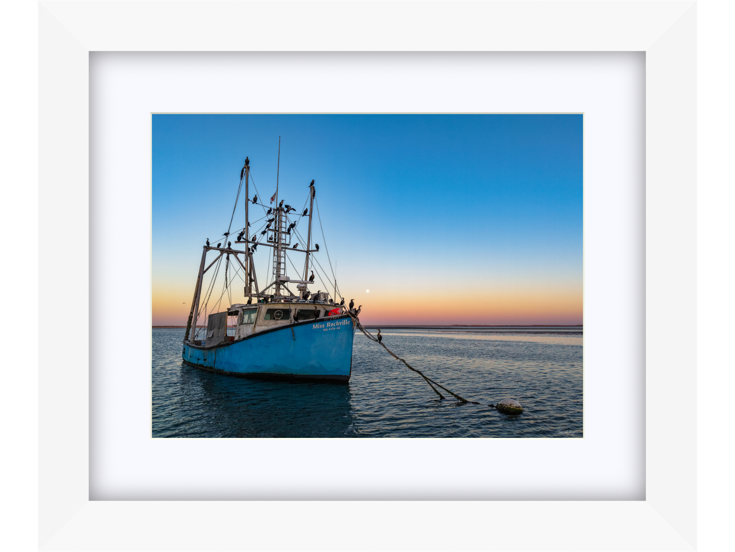 Miss Rockville Moonrise