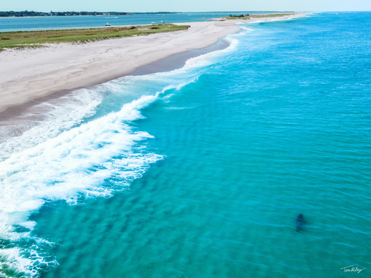 Jaws off North Beach Island