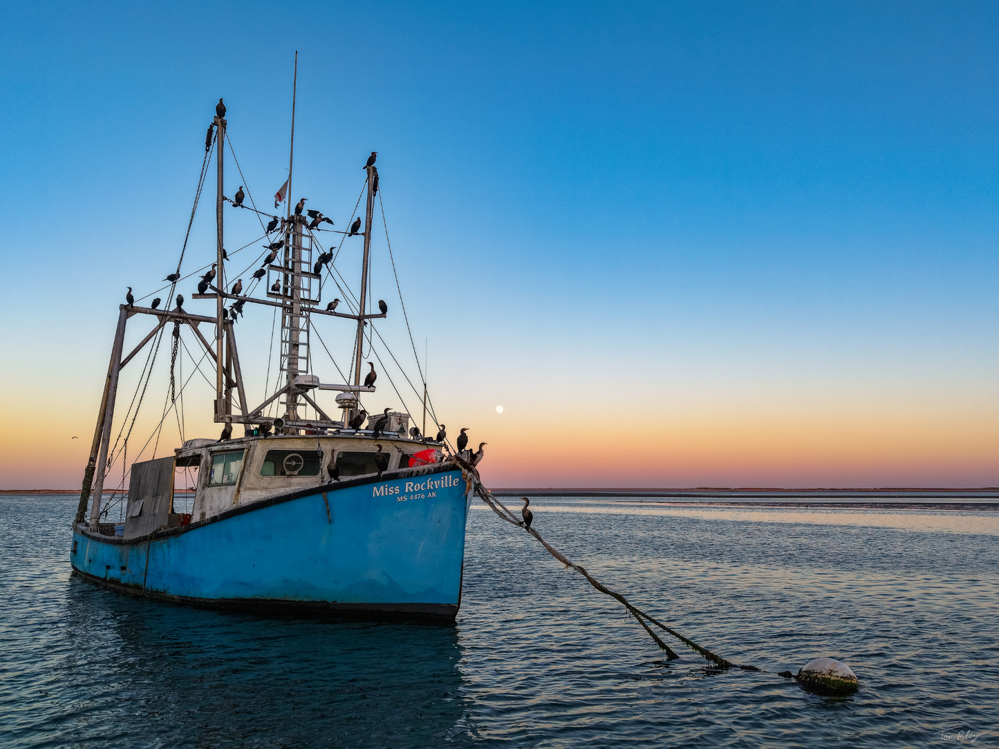 Miss Rockville Moonrise