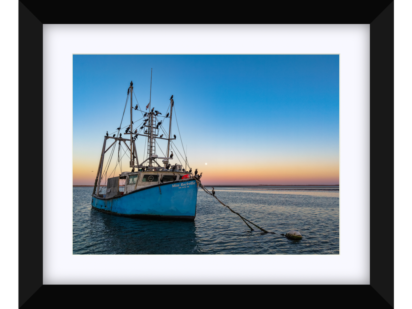 Miss Rockville Moonrise