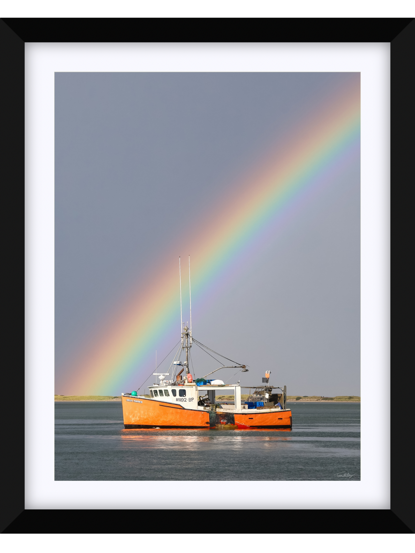 Great Pumpkin Rainbow 2025