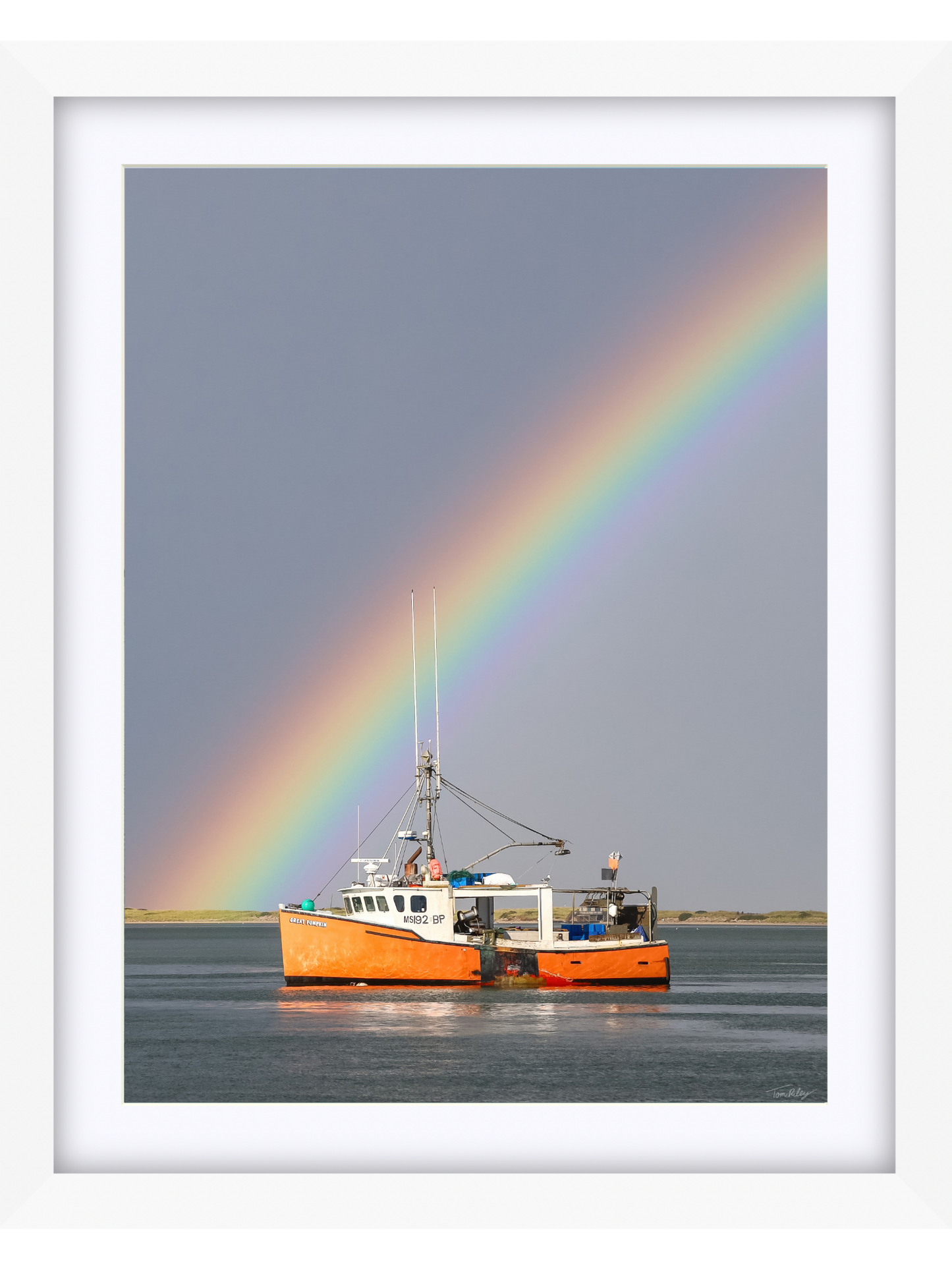 Great Pumpkin Rainbow 2025