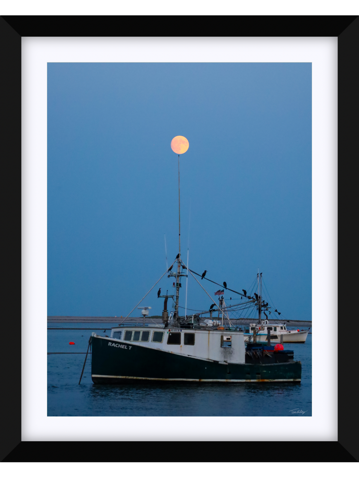Full Harvest Moon Over Rachel T