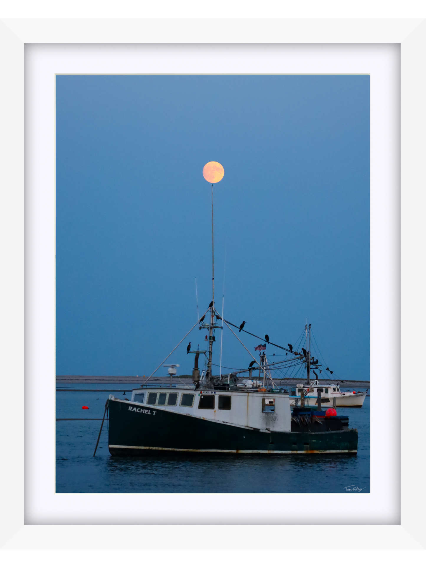 Full Harvest Moon Over Rachel T