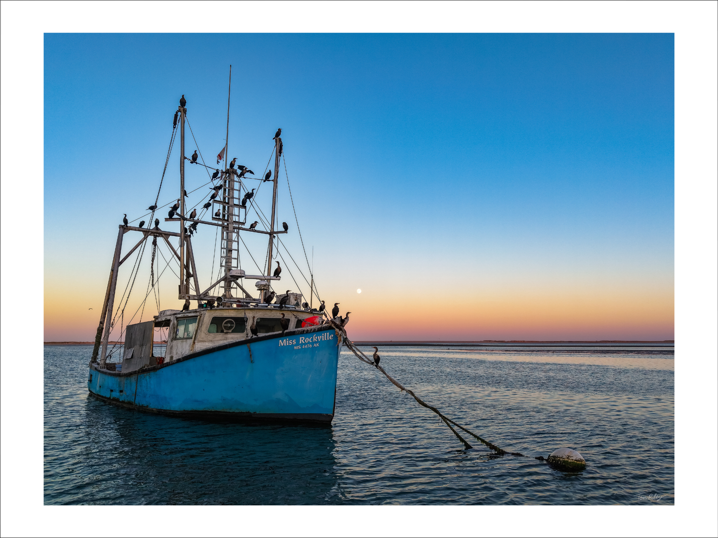 Miss Rockville Moonrise