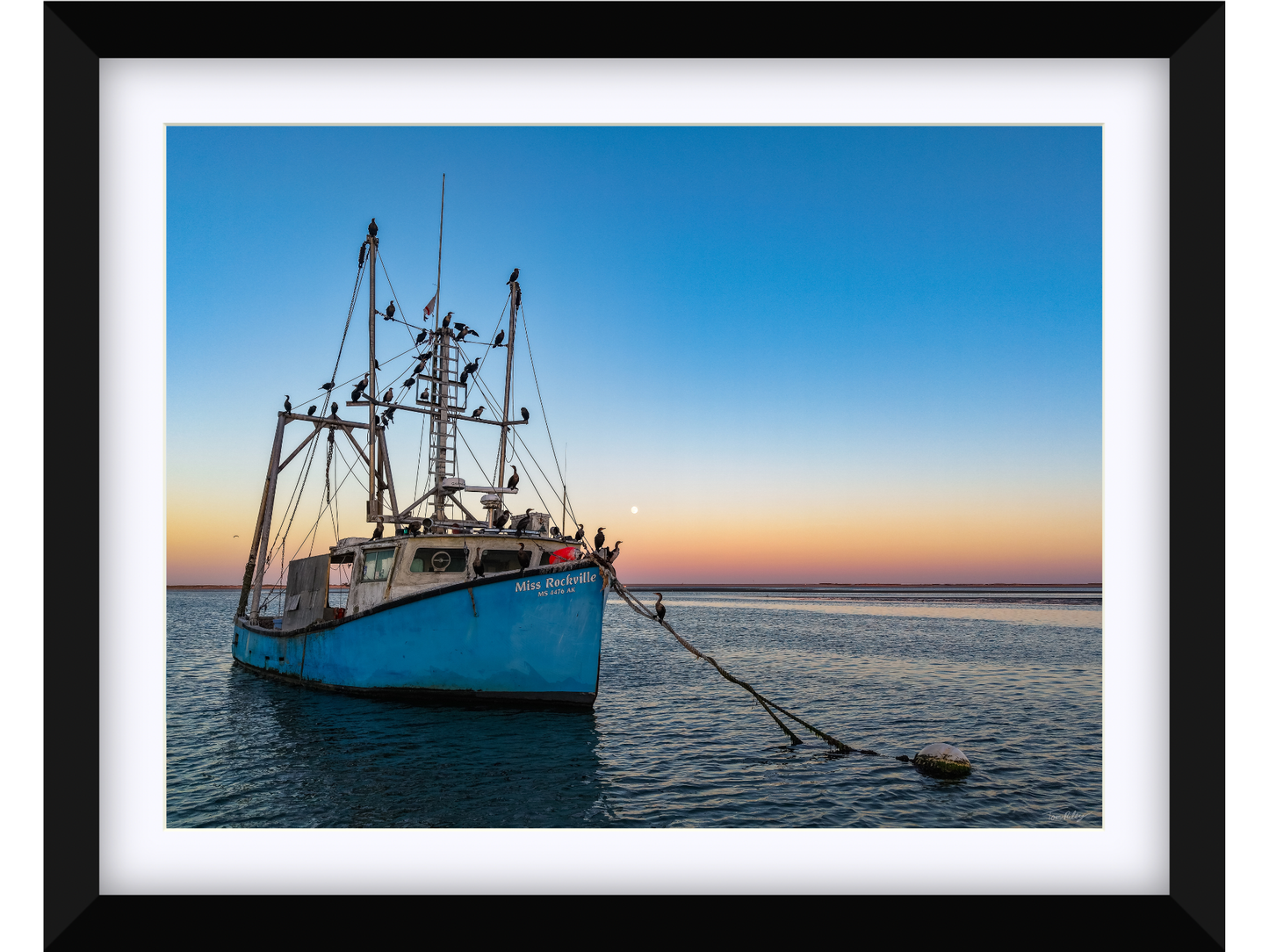 Miss Rockville Moonrise