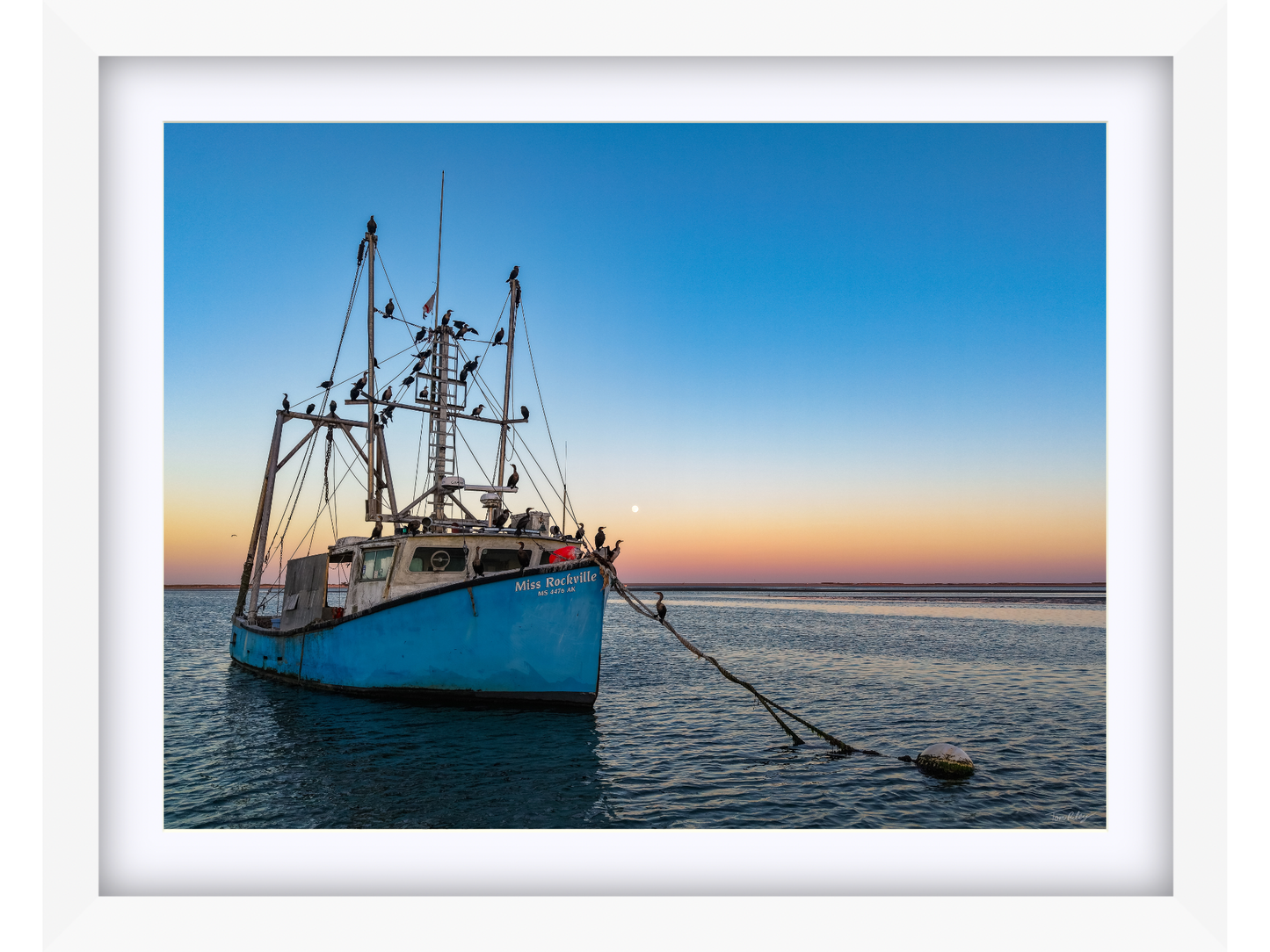 Miss Rockville Moonrise