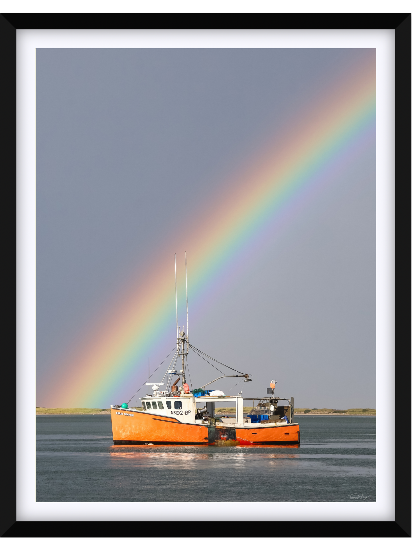 Great Pumpkin Rainbow 2025