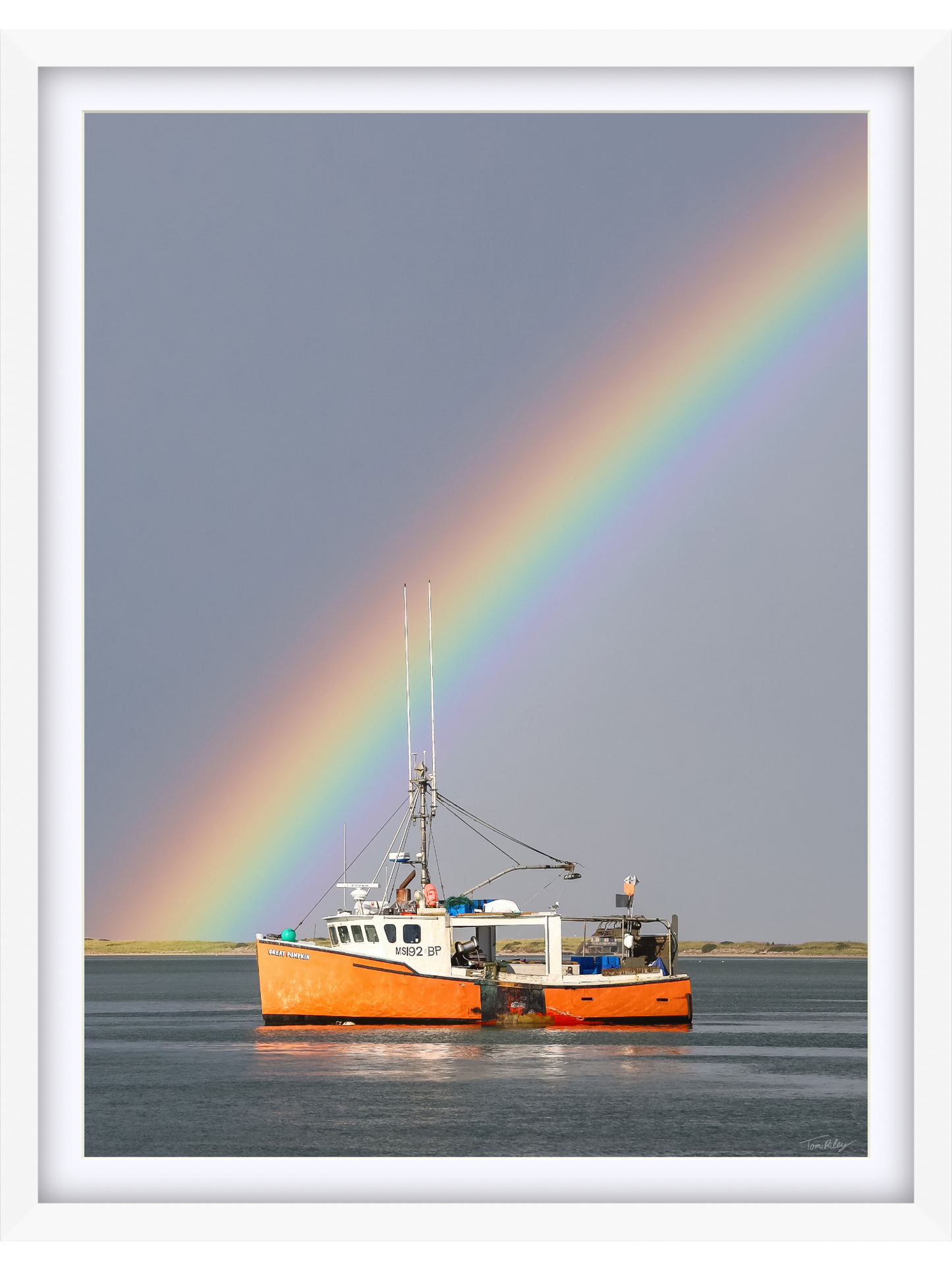 Great Pumpkin Rainbow 2025