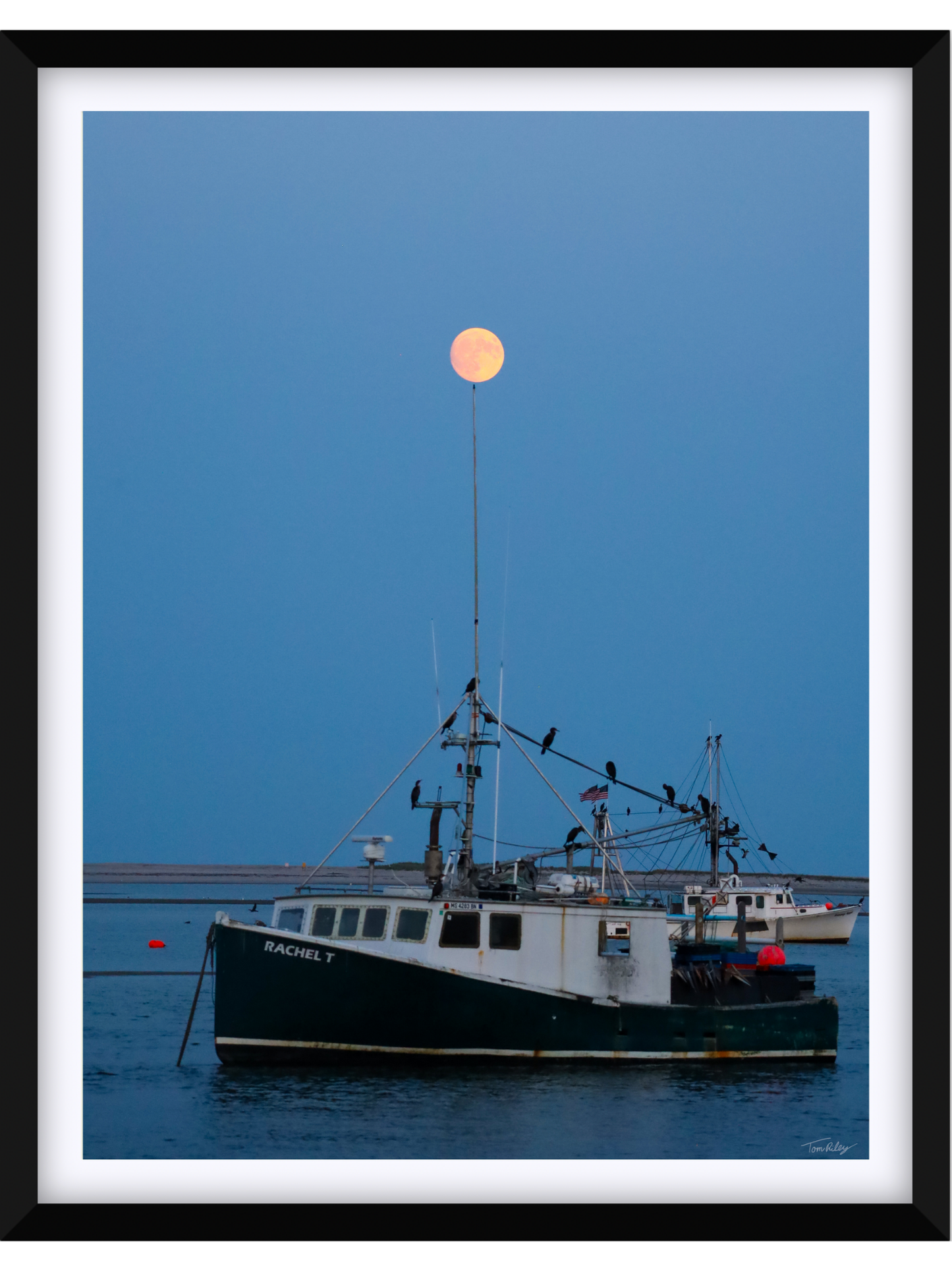 Full Harvest Moon Over Rachel T