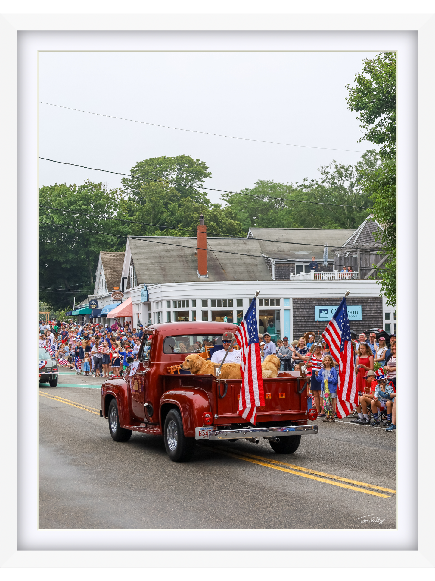 Goldens on the 4th